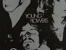 YOUNG FLOWERS Vol. 2 ORIG RARE '69 heavy fuzz psych LP