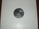 The DECAYES - accidental musik - LP - AVANT NWW LAFMS