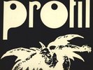 PROFIL Rare Superb Heavy Prog Krautrock BRUTKASTEN Lp