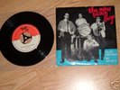Single The Mini Beach Boys: Frag Mich , Marktheidenfeld