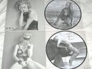 Madonna - Erotica LP Picture Disc w/ Unique Pic Sleeve