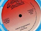 Horace Andy - Tribute to Bob Marley Rare Wackies 12