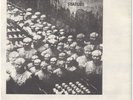 HUSKER DU 1st 45 on Reflex Records PUNK GRUNGE