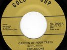 RARE FUNK 45 - GARDEN OF FOUR TREES - EXPLOSIONS