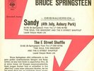 Mega rare Bruce Springsteen SANDY 7