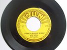 ELVIS PRESLEY / SUN 223 / I FORGOT TO REMEMBER / VG+