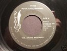 Rare Funk 45 KICKIN' MUSTANGS on PLATO M-
