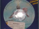 IRON MAIDEN Italy Only Seventh Son Picture Disc Rare