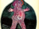 NIEMEN Strange is the World - DEUTSCHES ORIGINAL PROG