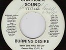 BURNING DESIRE  Funk/Modern/Northern Soul 45