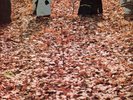 BLUES-Jellybread:First slice OR.BLUE HORIZON,MINT LP 