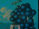 Moby Grape San Francisco Sound sealed Grape Jam/WOW