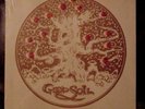 Sealed original GOOD SOIL Indiana Private Press LP