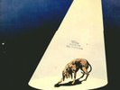 RINO GAETANO MIO FRATELLO E' FIGLIO RARO LP ORIGINALE