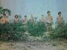 LOS DEMENTES Estamos Caminando ORIG. VELVET Ven. Label