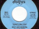 Great Lakes Orch. w/Lou Ragland - Didn't I tell you