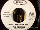 THE REMAINS ( I CAN'T GET AWAY FROM )EPIC#5-9872 DJMINT