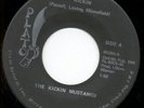 FUNK 45*KICKIN MUSTANGS*PLATO*LISTEN
