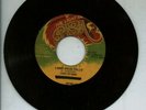 THE LIGHT OF SABA/LAMBS BREAD COLLIE - LIGHT OF SABA 7