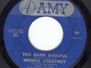 N. Soul - MORRIS CHESTNUT, Too Darn Soulful, AMY