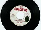 Northern Soul - Ritchie Adams on Congress - RARE PROMO