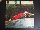 Very Rare Vinyl SPRING 1971 PROG PSYCH LP NEON