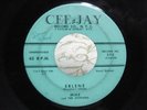 DOO WOP 45 MIKE & THE UTOPIANS  ERLENE ON CEE -JAY #574
