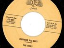 Upbeat 1958 doo-wop 45- THE CHIPS -Josie Rubber Biscuit