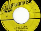 TECHNIQUES & BABA BROOKS 2 sider on TREASURE ISLE label