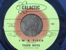 Rare Texas Garage TIGER BOYS I'm A Tiger  w/Pic Sleeve