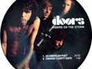DOORS  Picture Disc --- Riders on the Storm 700 only