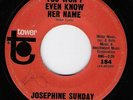 JOSEPHINE SUNDAY You Won't Even Know Her NameTOWER teen