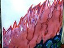 HOTOTOGISU FloatingGardens 3LP Double Leopards DRONE