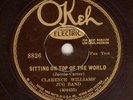 78-Race-Jazz-Okeh 8826-Clarence Williams Jug Band