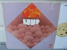 Bump-Rare US Psych Orig on Pioneer label from 1970