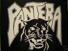 PANTERA Magic Metal I AM THE NIGHT LP Diamond Darrell