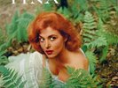 Personality-Tinal Louise-Her Portrait-LP