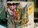 DECOY PARIS - LOVE ON THE RUN PRIVATE PRESS RARE ROCK