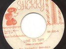 The Fantastic Dee-Jays on SHERRY, 45 RPM, GARAGE