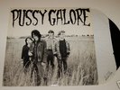 Pussy Galore groovy hate f*ck OOP RARE LP Jon Spencer