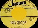 THE VOLUMES JAGUAR RECORDS RARE 1954 DOO WOP GROUP 45