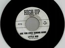 LITTLE BOB-ARE YOU EVER COMING HOME-HIGH UP