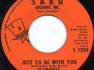 *Northern Soul 45 - The Elements - Just To Be With You*