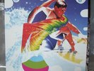 Black Dice / Animal Collective Limited tour split rare