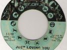 RUBY ANDREWS JUST LOVING YOU DETROIT NORTHERN SOUL 45
