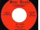 FLINT EXECUTIVES obscure group 45 My Vision