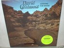David Chalmers : Looking For Water Private Hard Rock LP