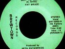 Garage/Psych- Fat Bruce -Got To Get It ,Brewtown,Fuzz