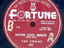 Rare Detroit Doo-Wop - The Swans - Fortune 822