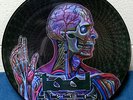 TOOL 'Lateralus' RARE Promo Picture Disc LP Ltd. 500